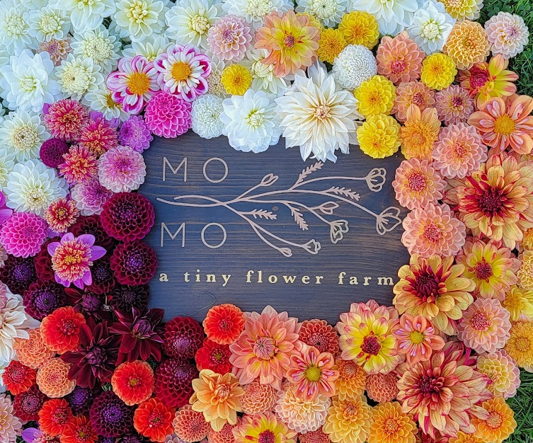 Shop | Shop Fresh Flowers Now — MoMo Flower Farm